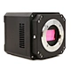 TE Cooling M52 C Mount USB3.0 CMOS Microscope Camera